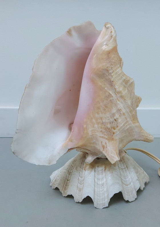 Image 1 of Lampe à coquille 1970