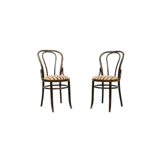 Image 1 of Paire de chaises de salle à manger vintage Thonet