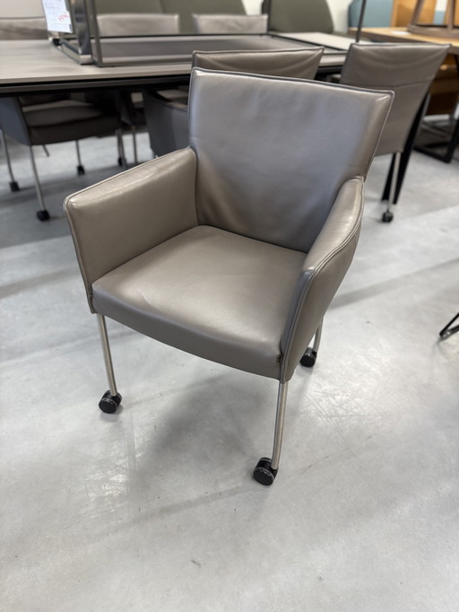 6 Design On Stock Amra Dining Chairs On Wheels Grey Leather