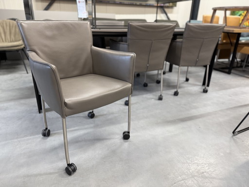 6 Design On Stock Amra Dining Chairs On Wheels Grey Leather