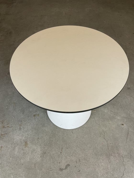 Image 1 of Table basse Pedrali Ikon