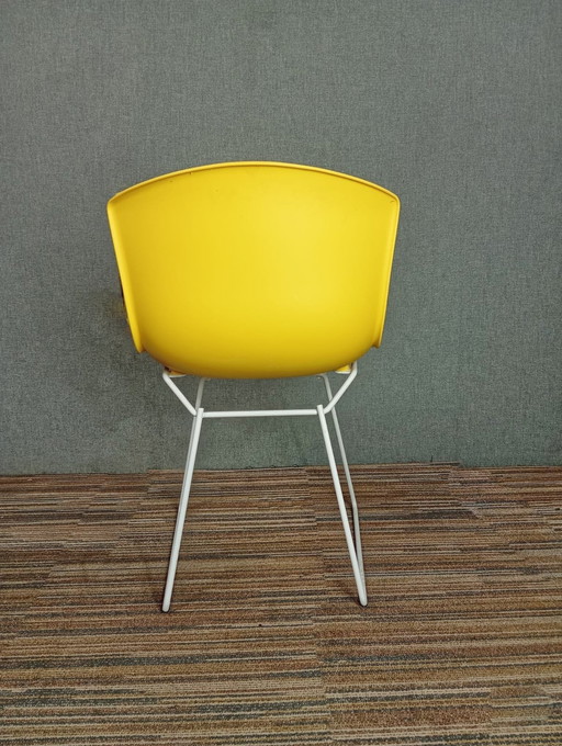 1X Chaise en plastique Harry Bertoia