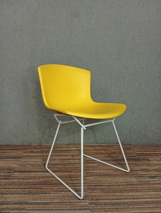 Image 1 of 1X Chaise en plastique Harry Bertoia