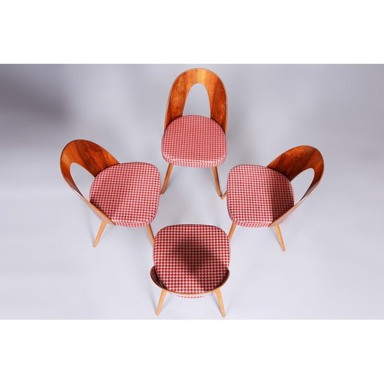 Image 1 of Ensemble de 4 chaises vintage en hêtre, noyer et tissu par Antonin Suman, Tchécoslovaquie 1950