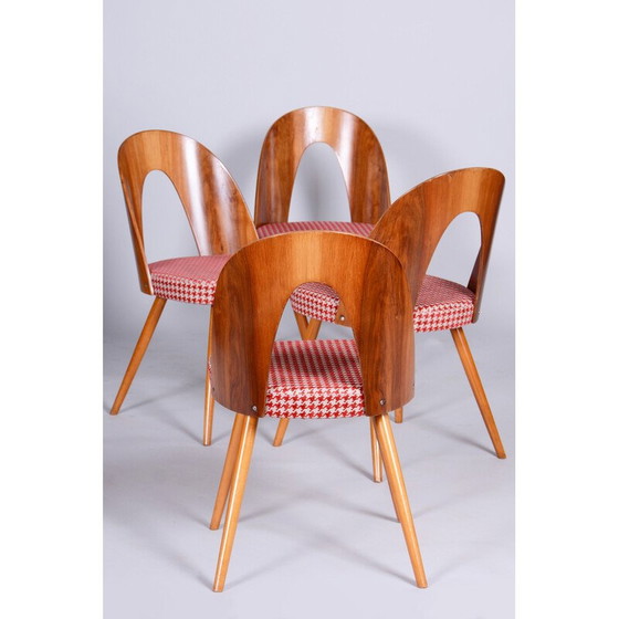 Image 1 of Ensemble de 4 chaises vintage en hêtre, noyer et tissu par Antonin Suman, Tchécoslovaquie 1950