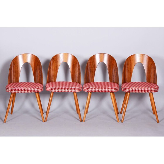 Image 1 of Ensemble de 4 chaises vintage en hêtre, noyer et tissu par Antonin Suman, Tchécoslovaquie 1950