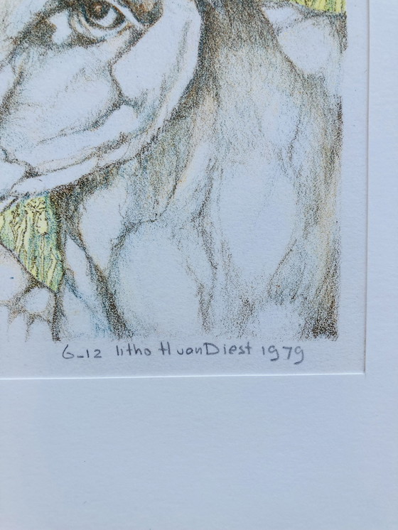Image 1 of H Van Diest - Lithographie - Vintage 1979