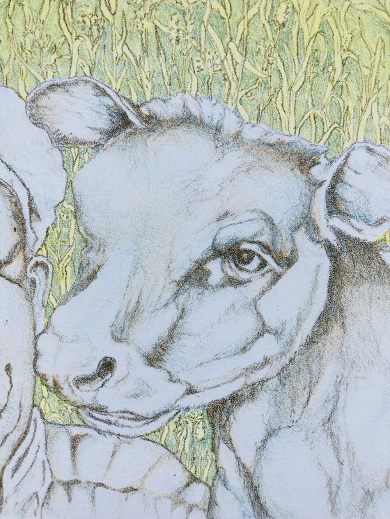 Image 1 of H Van Diest - Lithographie - Vintage 1979