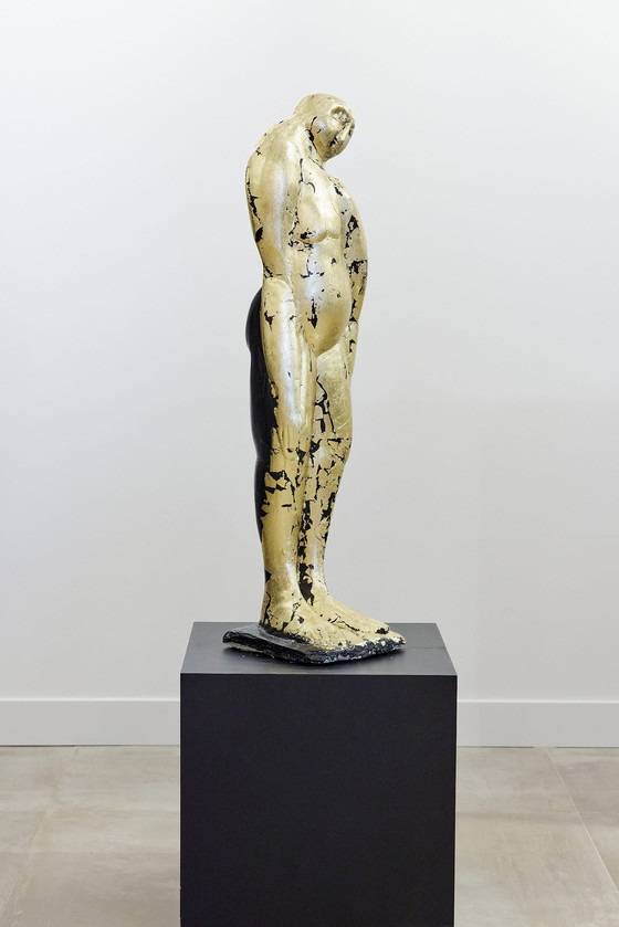 Image 1 of Theo Mackaay - Golden Lady Bladgoud.