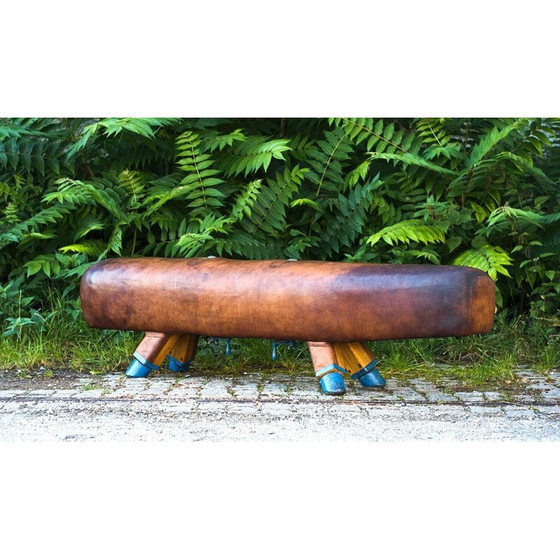 Image 1 of Banc de gymnastique vintage en cuir avec poignées en bois, années 1920