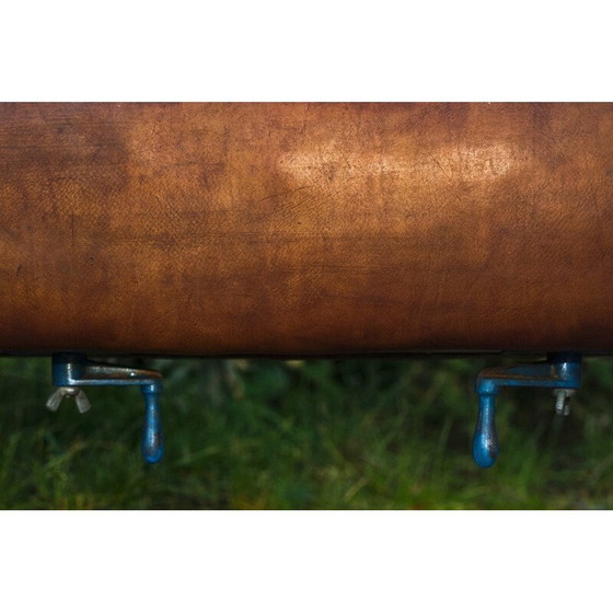 Image 1 of Banc de gymnastique vintage en cuir avec poignées en bois, années 1920