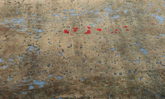 Image 1 of Vintage Royal Tapis