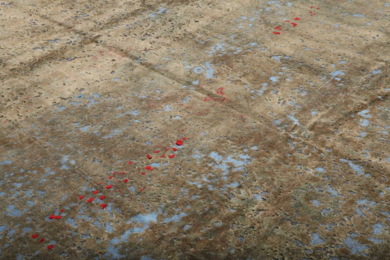 Image 1 of Vintage Royal Tapis