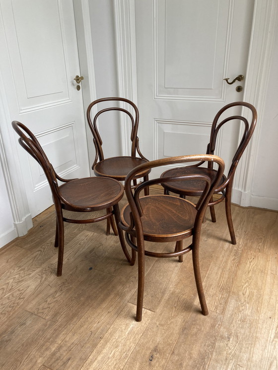 Image 1 of 4X chaises Thonet originales n° 14