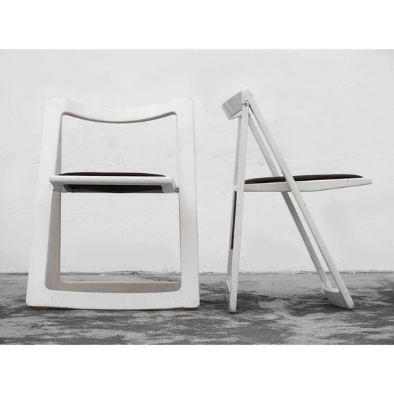 Image 1 of Paire de chaises vintage Trieste en bois et velours par Jacober Aldo et D'Aniello pour Bazzani Itaky, 1970