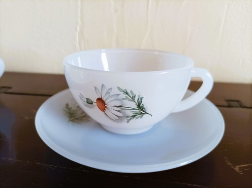 Lot de 11 Tasses à Café en Arcopal Thème "Les Marguerites"