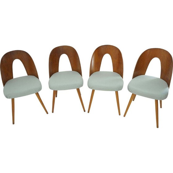 Image 1 of Ensemble de 4 chaises en bois vintage d'Antonin Suman, 1960