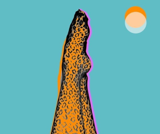 Image 1 of Œuvre Numérique • Dyptique Feline Legs • Numericeric • Pop Art • 2022