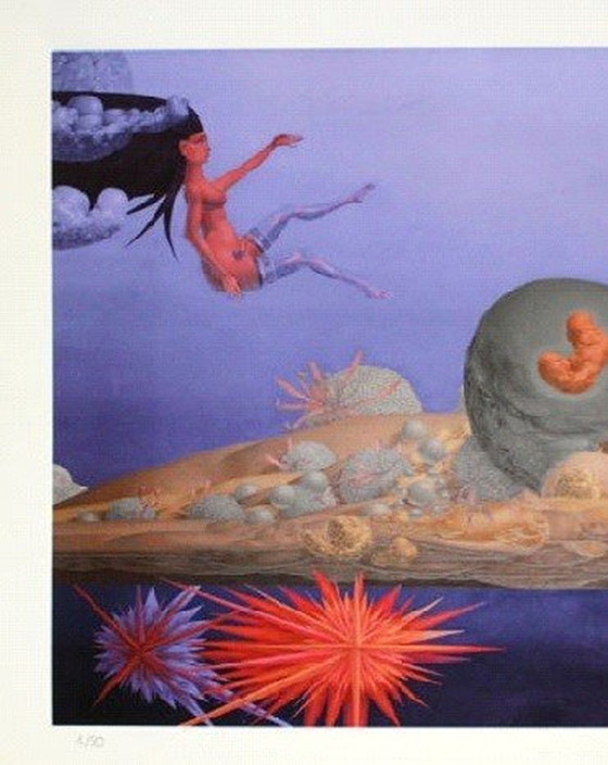 Image 1 of Les premières étoiles et le ciel de l'Aphrodite