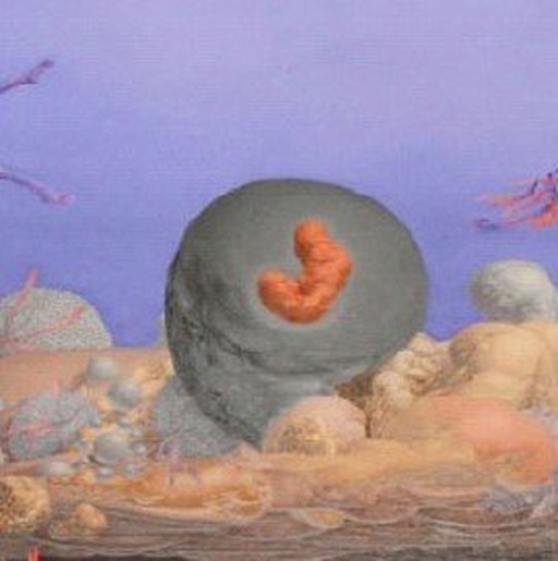 Les premières étoiles et le ciel de l'Aphrodite
