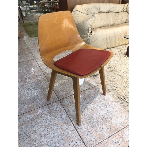 Chaise tonneau vintage Pierre de Guariche