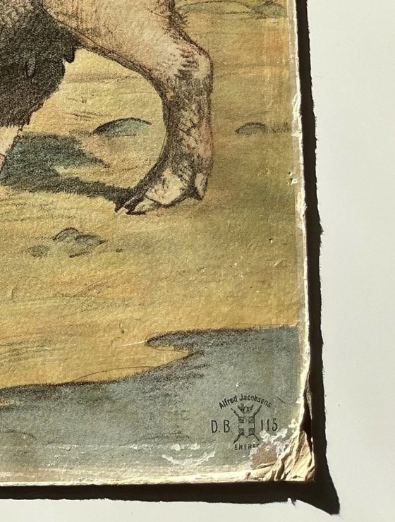 Image 1 of Illustration de carte scolaire Antik, double face, mouton/agneau et cochon/porcinet, lithographie, vie à la ferme, Shabby Chic