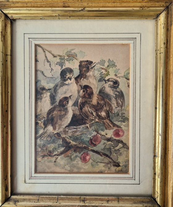 Image 1 of C.S. Stortenbeker - Aquarelle avec nid d'oiseau