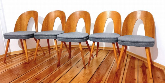 Image 1 of Ensemble de cinq chaises, Design. A. Suman, Tatra Nabytok, Tchécoslovaquie, 60S