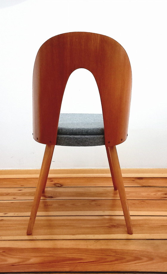 Image 1 of Ensemble de cinq chaises, Design. A. Suman, Tatra Nabytok, Tchécoslovaquie, 60S