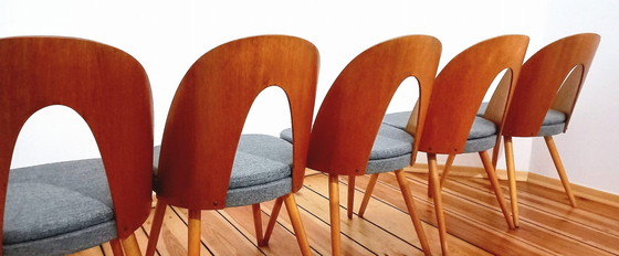 Image 1 of Ensemble de cinq chaises, Design. A. Suman, Tatra Nabytok, Tchécoslovaquie, 60S