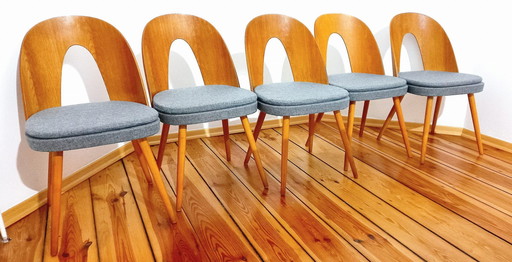 Ensemble de cinq chaises, Design. A. Suman, Tatra Nabytok, Tchécoslovaquie, 60S