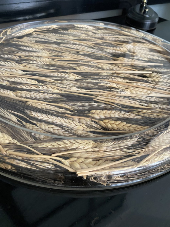 Image 1 of Plateau à fromage "Wheat" Dior