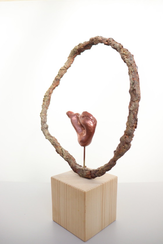 Image 1 of La sécurité dans le cercle de vie