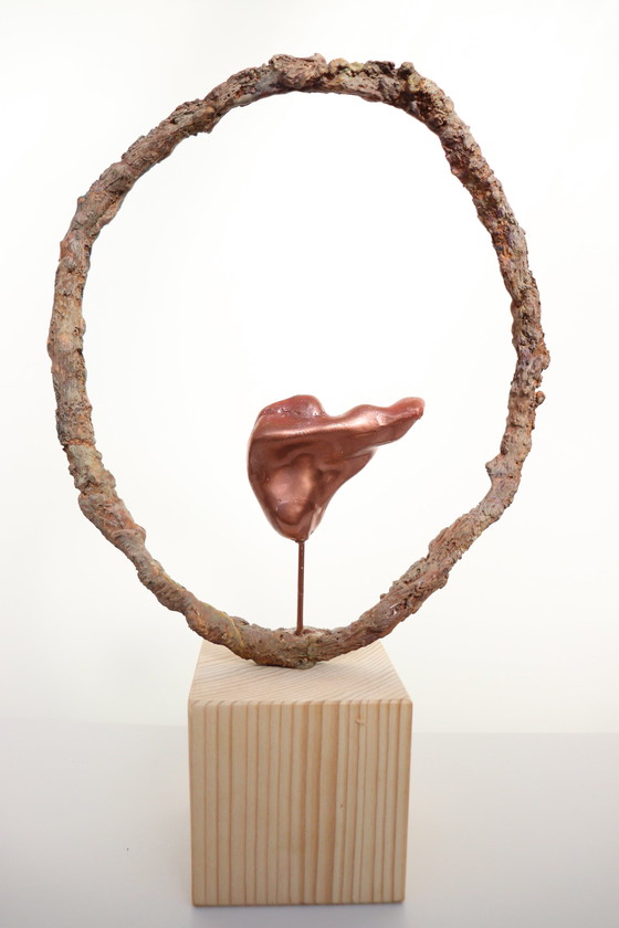 Image 1 of La sécurité dans le cercle de vie