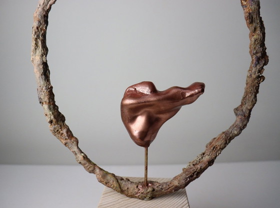 Image 1 of La sécurité dans le cercle de vie