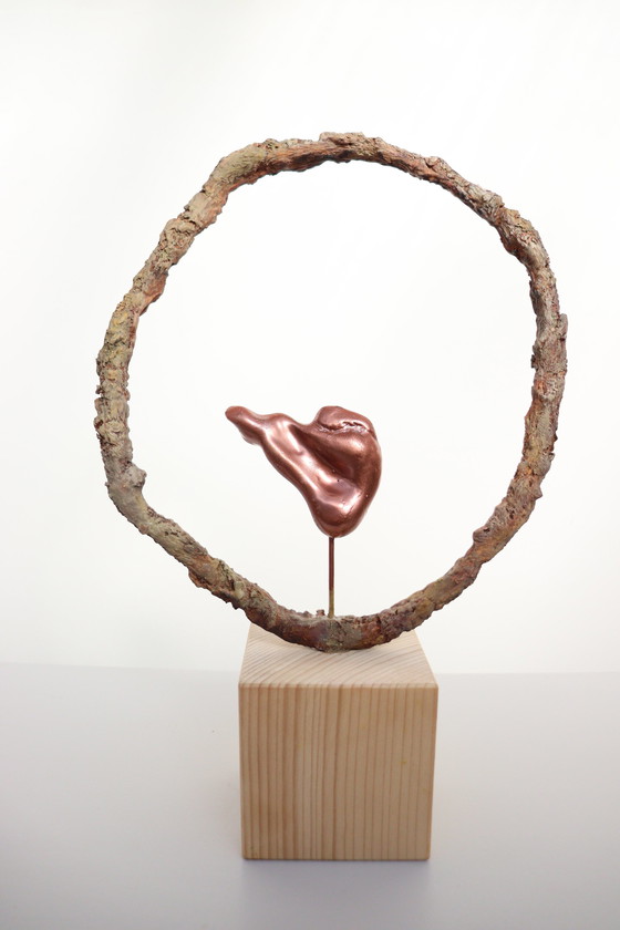 Image 1 of La sécurité dans le cercle de vie