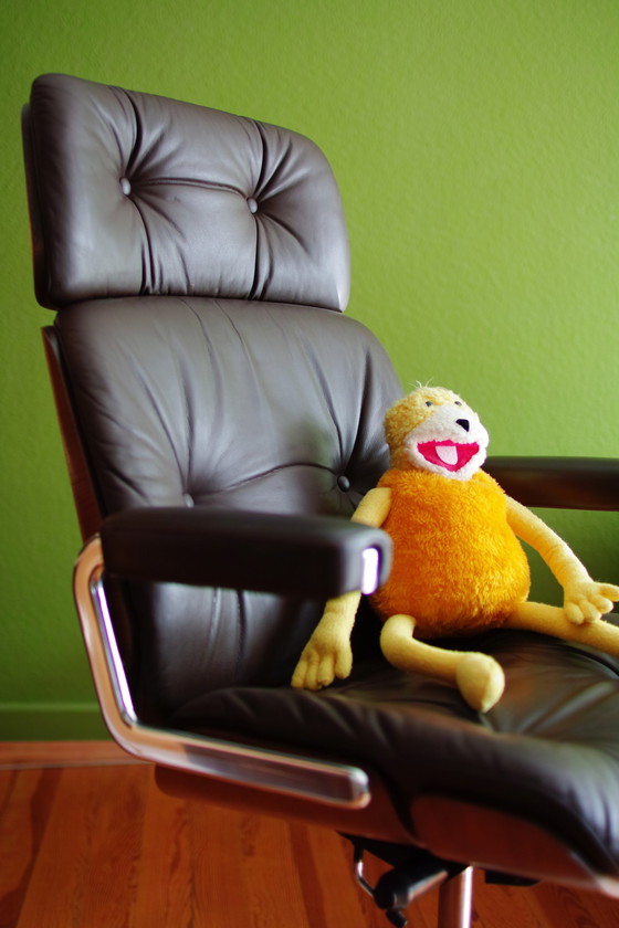 Image 1 of Pasal Chaise de bureau Par Dittert Pour Martin Stoll / Giroflex