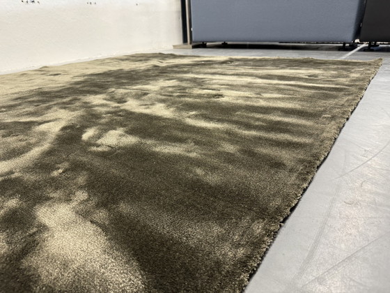 Image 1 of Brink En Campman Liscio Tapis Olive 250X300