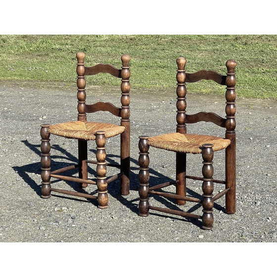 Image 1 of Paire de chaises en hêtre, 1950