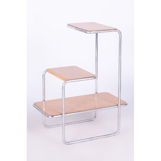 Image 1 of Paire d'étagères Bauhaus vintage par Arnošt Beck pour Robert Slezák, Tchécoslovaquie 1930