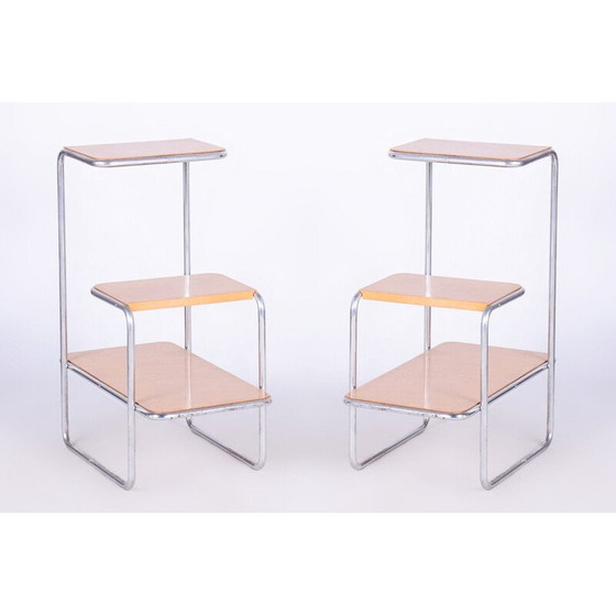 Image 1 of Paire d'étagères Bauhaus vintage par Arnošt Beck pour Robert Slezák, Tchécoslovaquie 1930
