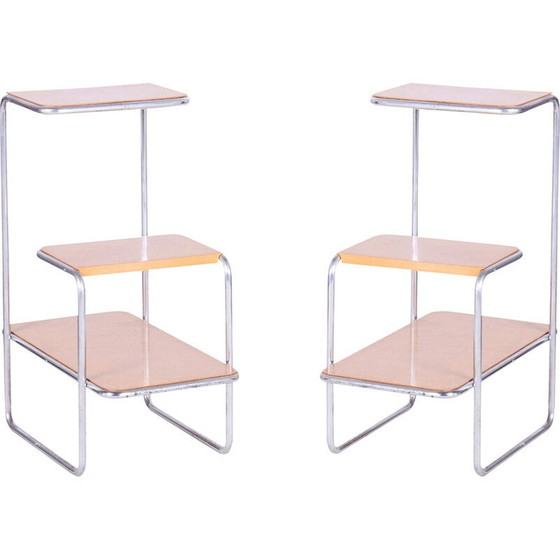 Image 1 of Paire d'étagères Bauhaus vintage par Arnošt Beck pour Robert Slezák, Tchécoslovaquie 1930
