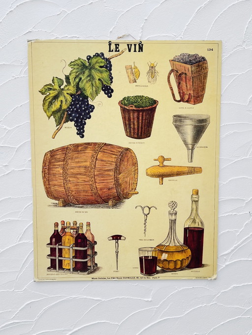 Panneau Pédagogique sur le Vin