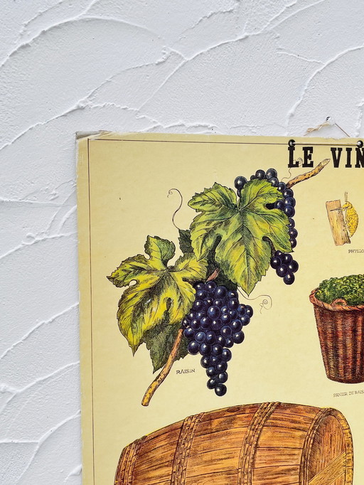 Panneau Pédagogique sur le Vin
