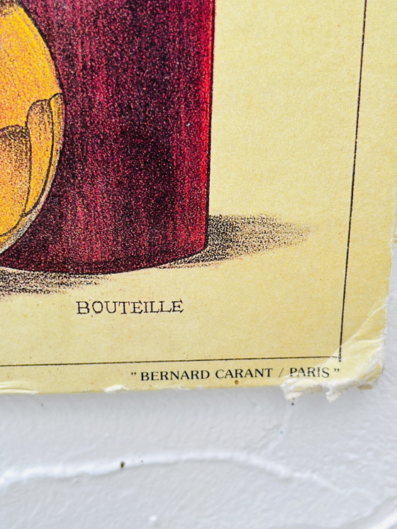 Image 1 of Panneau Pédagogique sur le Vin