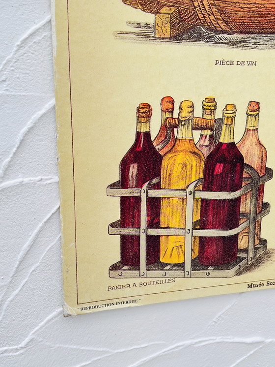Image 1 of Panneau Pédagogique sur le Vin