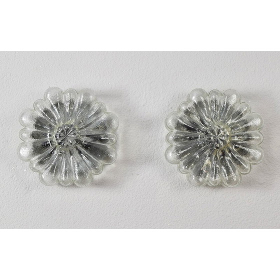Image 1 of Paire d'appliques vintage en verre transparent en forme de fleurs, Allemagne 1950