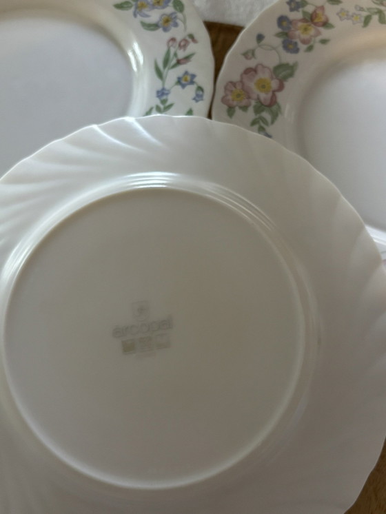 Image 1 of 3 Assiettes Arcopal