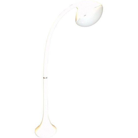 Image 1 of Lampadaire vintage "Lampione" par Fabio Lenci pour Guzzini, Italie, années 1970