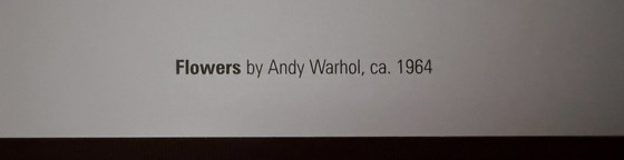 Image 1 of Andy Warhol : "Fleurs, 1964". Fondation Andy Warhol pour les arts visuels.